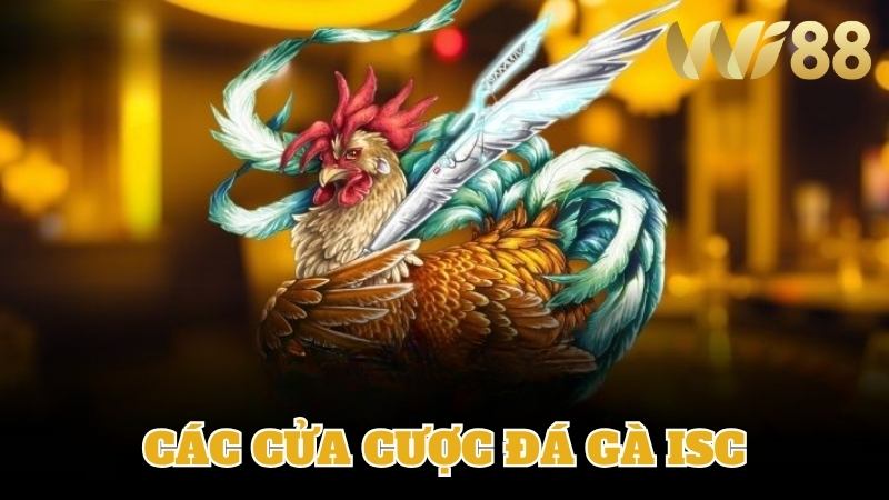 WI88 Chi tiết các cửa cược trong đấu gà ISC
