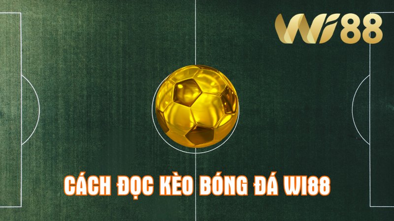 Cách Đọc Kèo Bóng Đá Wi88 Chuẩn Nhất Cho Các Tân Binh