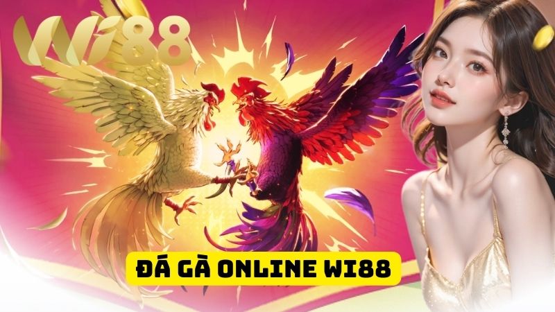 Đá Gà Online Wi88 – Bùng Nổ Kịch Tính Cược Liền Tay Ăn Lớn