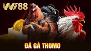 Wi88 Đá Gà Thomo - Sân Chơi Đẳng Cấp Cho Dân Cá Cược 2025