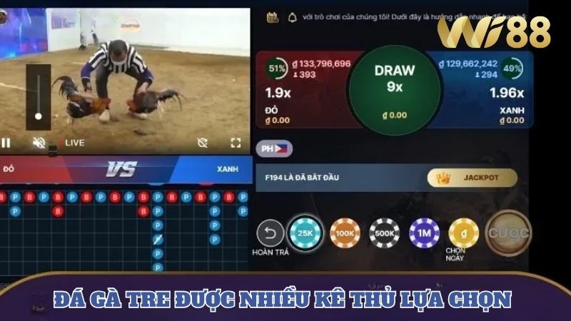 WI88 Hình thức cược gà tre quen thuộc với nhiều kê thủ