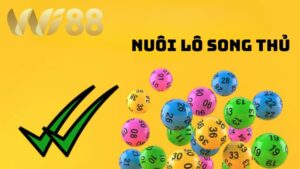 Bí Kíp Nuôi Lô Song Thủ Siêu Chuẩn Trúng Đậm Dễ Dàng