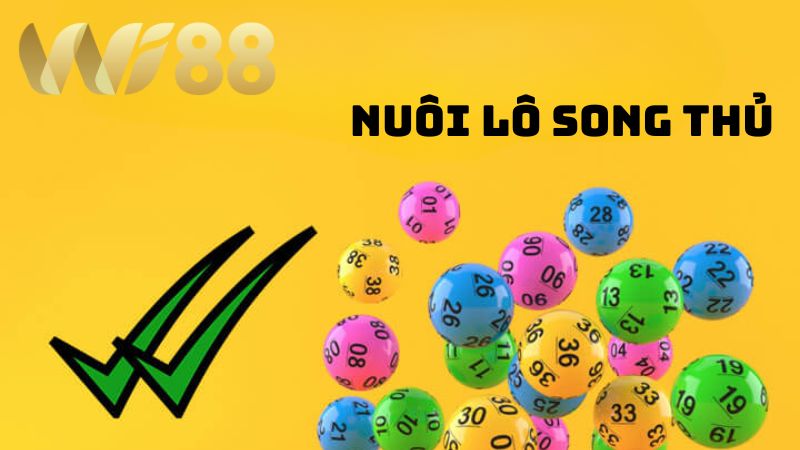 Bí Kíp Nuôi Lô Song Thủ Siêu Chuẩn Trúng Đậm Dễ Dàng