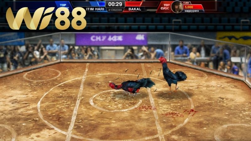 WI88 Sân chơi Techplay dành cho bet thủ muốn cược nhanh mà không chờ lịch thi đấu thực tế